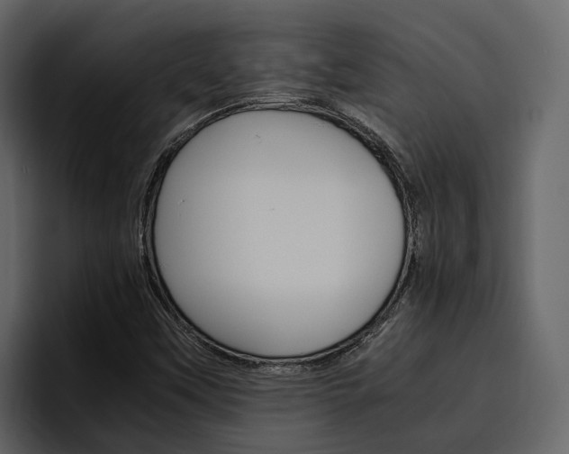 X0000097481451200802220811