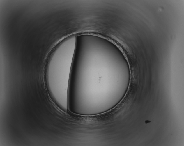 X0000097481452200802220811