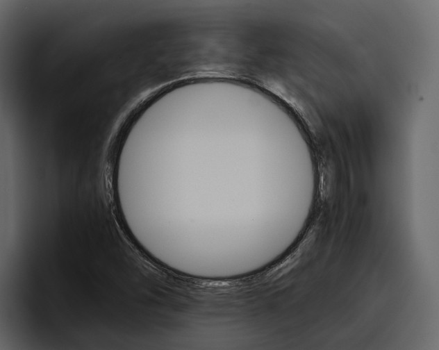 X0000097481454200802220811