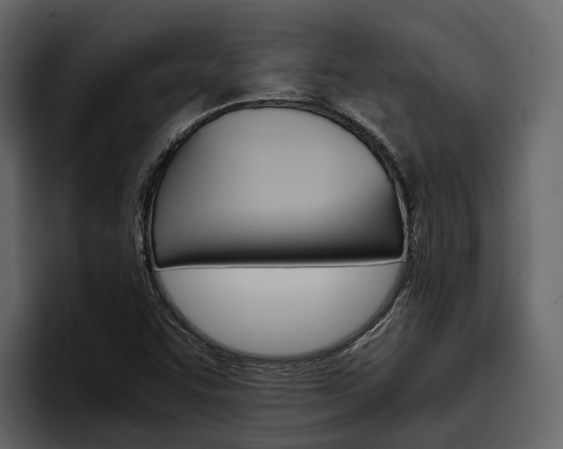 X0000097481455200802220811