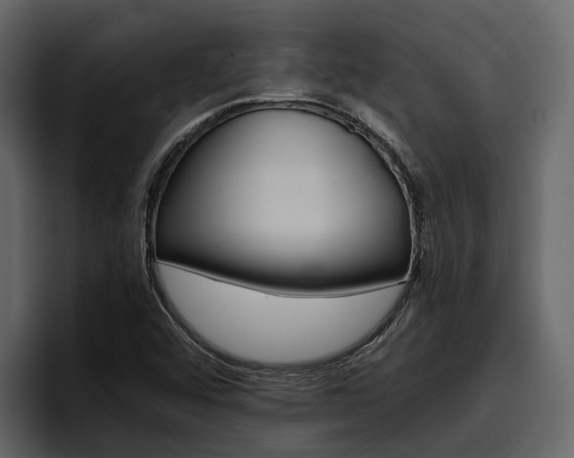 X0000097481456200802220811