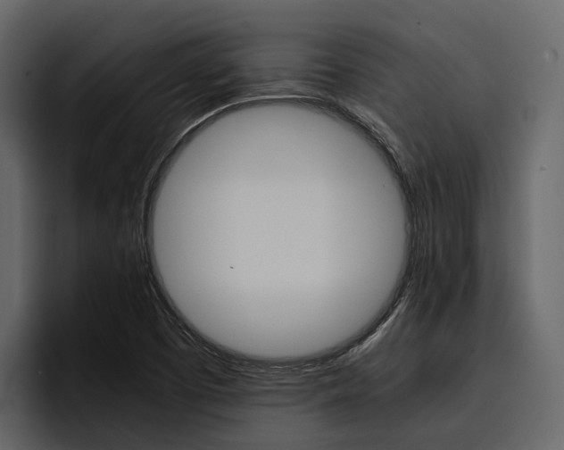 X0000097481457200802220811