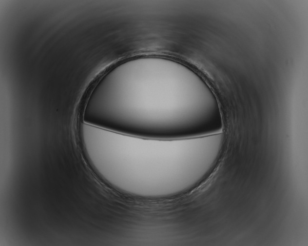 X0000097481458200802220811