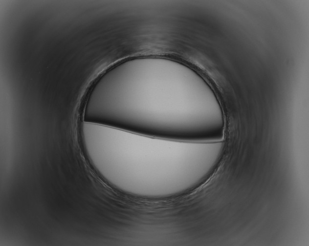 X0000097481459200802220811