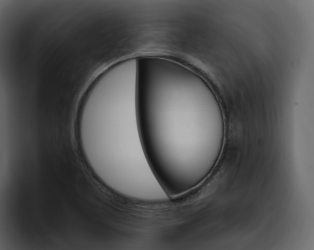 X0000097481461200802220811