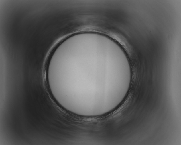 X0000097481462200802220811