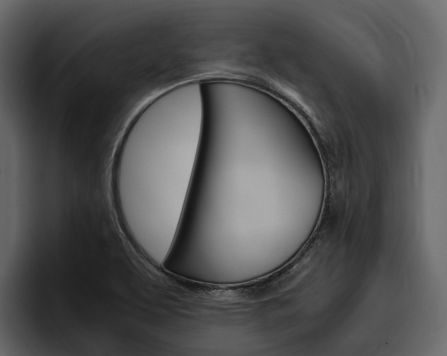 X0000097481463200802220811