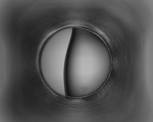 X0000097481464200802220811