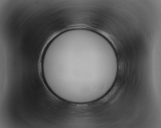 X0000097481466200802220811