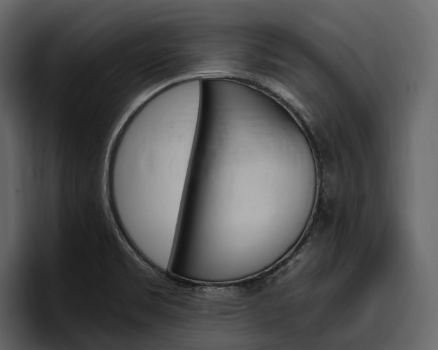 X0000097481469200802220811