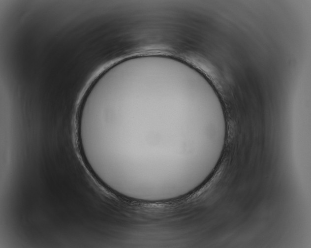 X0000097481470200802220811