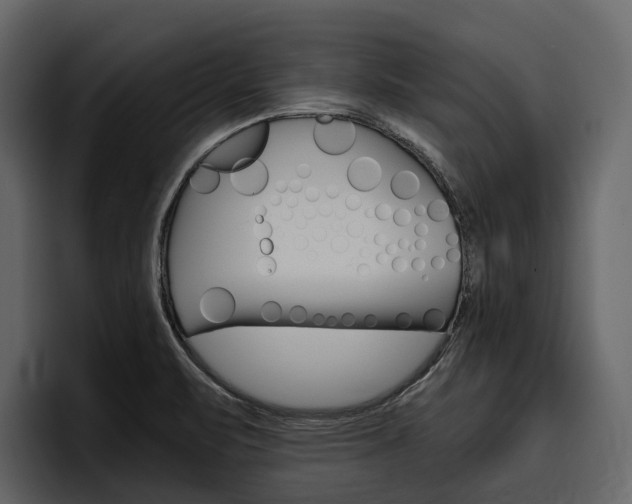X0000097481471200802220811