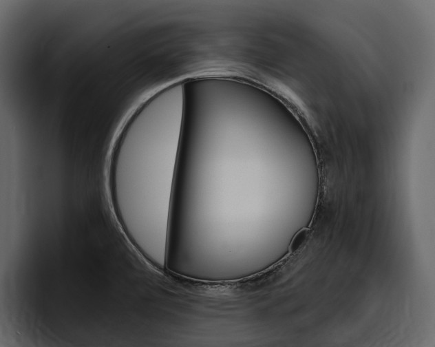 X0000097481472200802220811