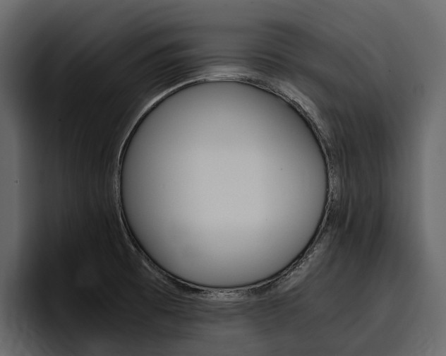 X0000097481473200802220811