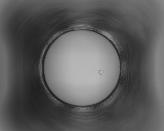 X0000097481474200802220811