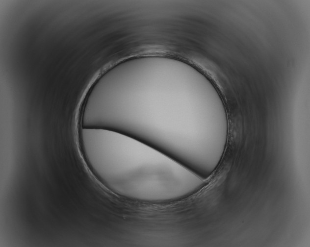 X0000097481475200802220811