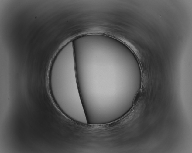 X0000097481477200802220811