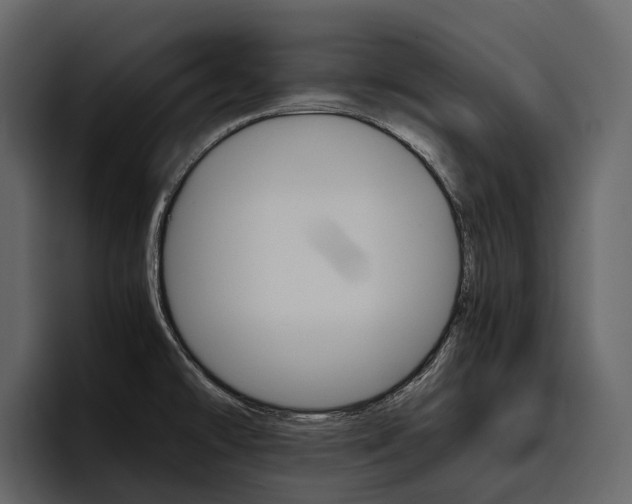 X0000097481478200802220811
