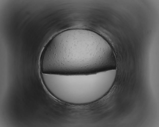 X0000097481479200802220811