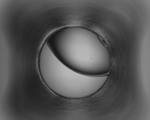 X0000097481480200802220811