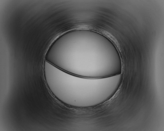 X0000097481481200802220811