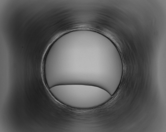 X0000097481482200802220811