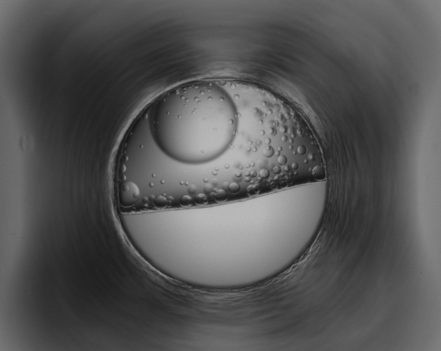 X0000097481483200802220811