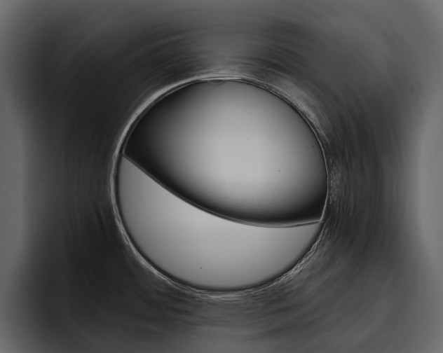 X0000097481484200802220811