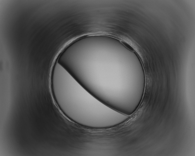 X0000097481485200802220811