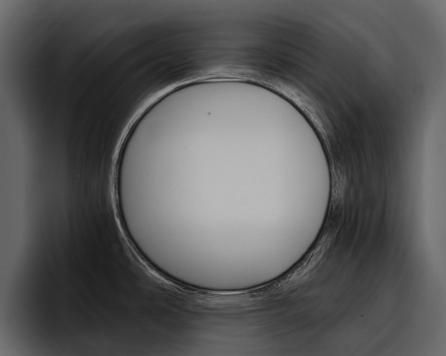 X0000097481486200802220810