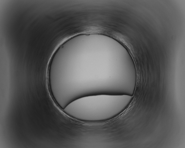 X0000097481487200802220810