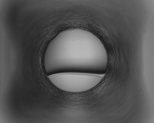X0000097481489200802220810