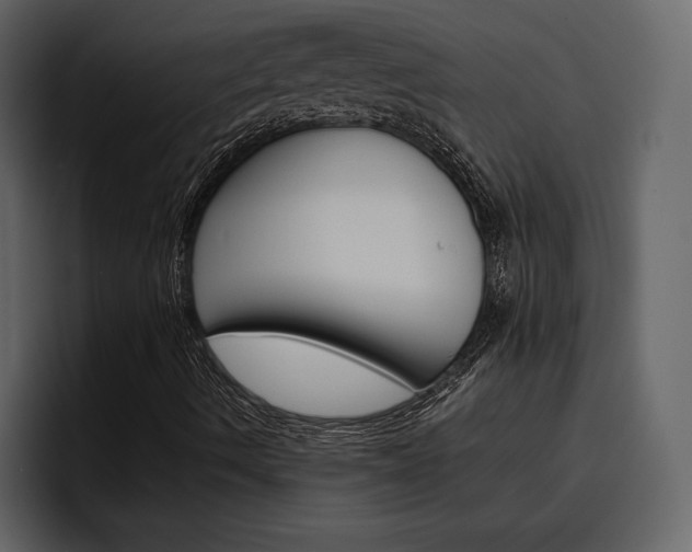 X0000097481490200802220810