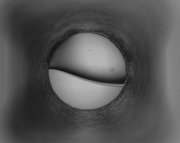 X0000097481493200802220810