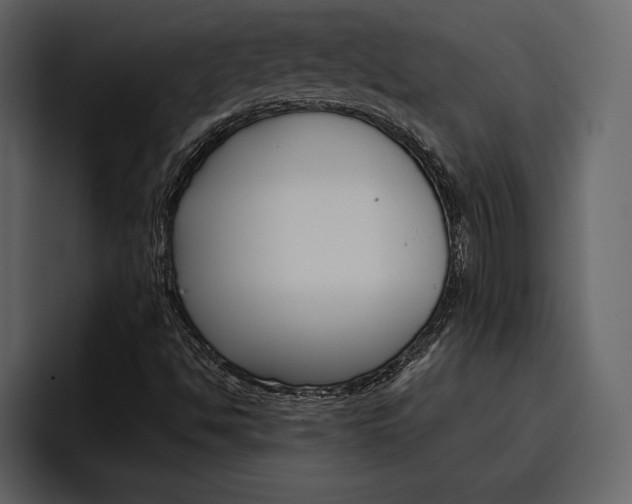 X0000097481494200802220810