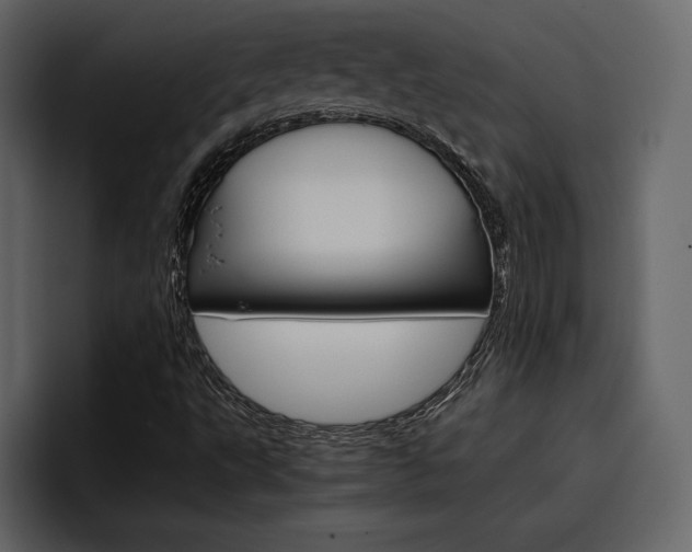 X0000097481495200802220810