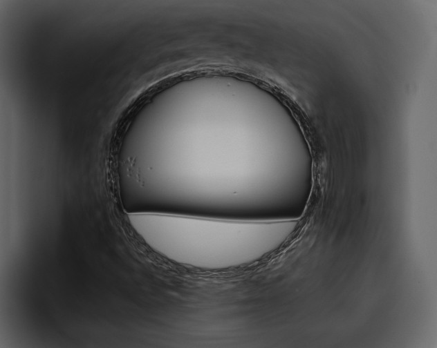 X0000097481496200802220810