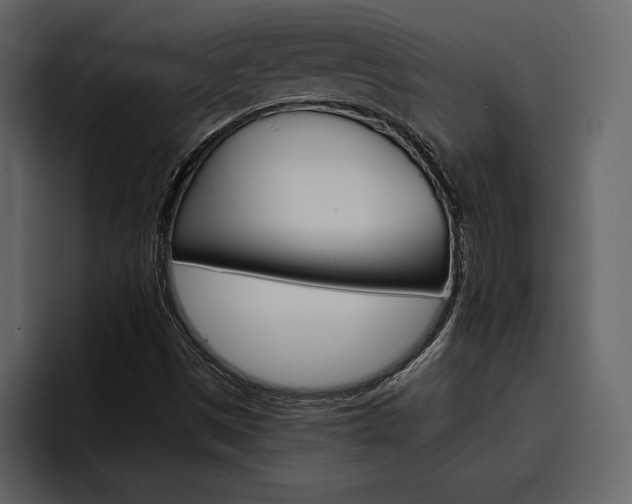 X0000097481497200802220810