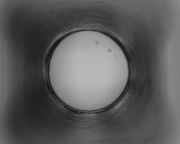X0000097481498200802220810