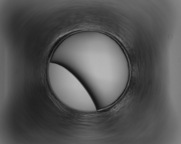 X0000097481499200802220810