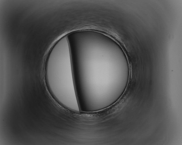 X0000097481500200802220810