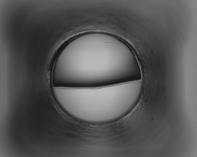 X0000097481503200802220810