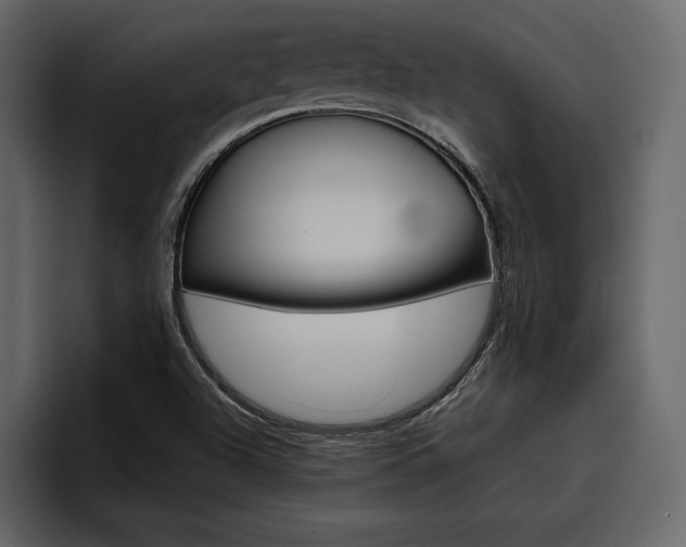 X0000097481504200802220810