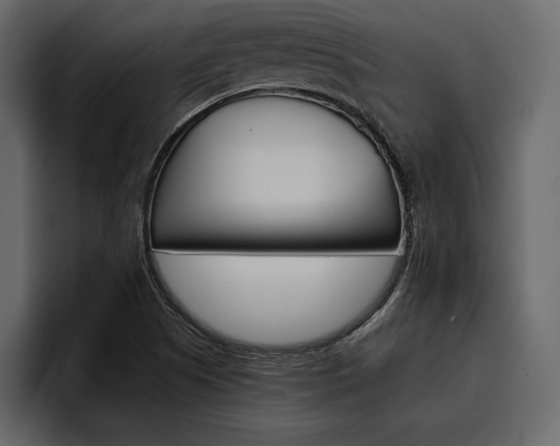 X0000097481505200802220810