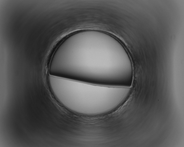 X0000097481507200802220810