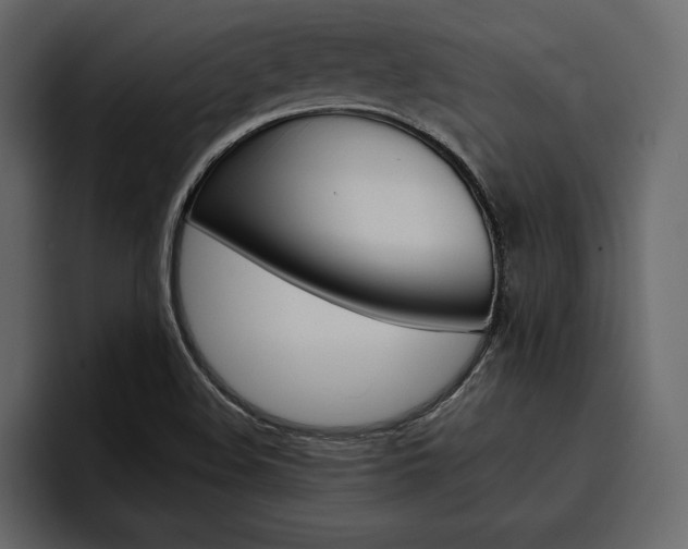 X0000097481508200802220810