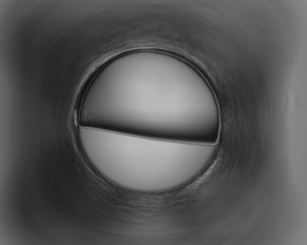 X0000097481509200802220810