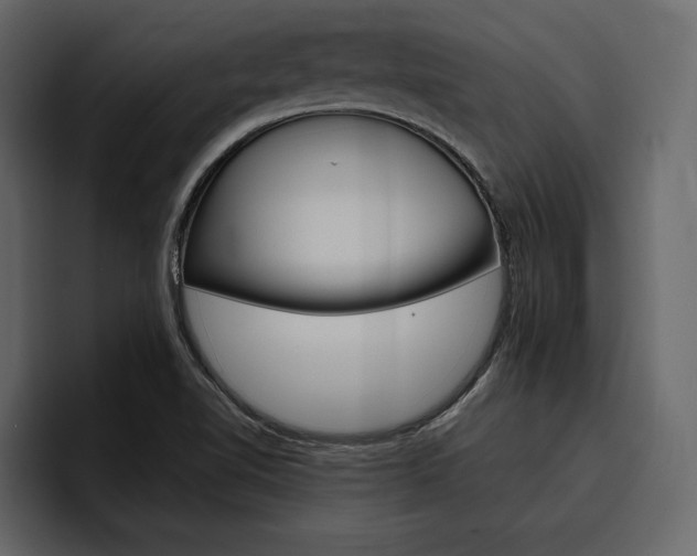 X0000097481510200802220810