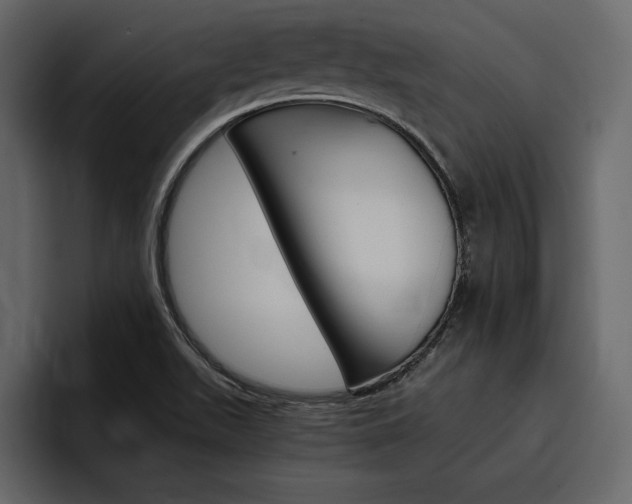 X0000097481511200802220810