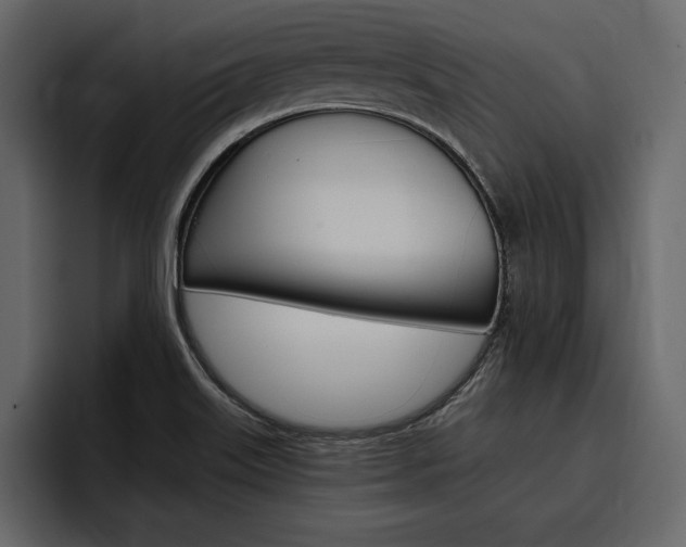 X0000097481515200802220810